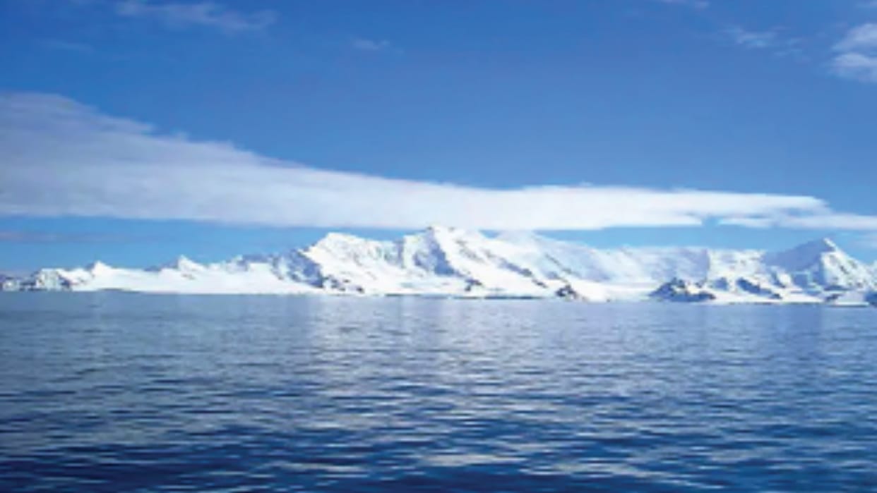 Warming oceans causing coral reefs to migrate from their traditional habitats
