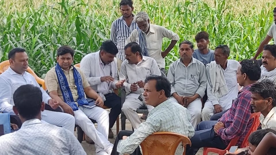 Dalit wedding procession stopped uproar and stone pelting constable injured in Etah
