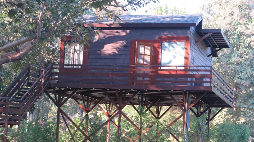 Corbett Phato zone will open for night stay
