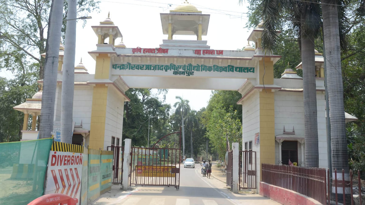 Kanpur: सीएसए ने तैयार किया क्राॅप कैफेटेरिया, धान की 15 उन्नत प्रजातियों का प्रदर्शन, मिलेगी सटीक जानकारियां
