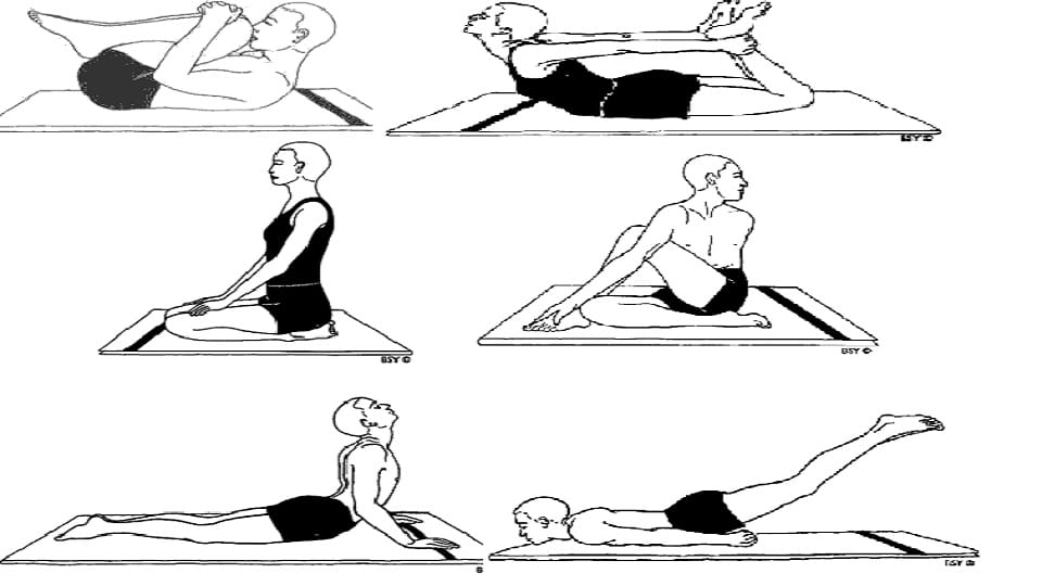 Yoga will provide relief from stomach ailments Ayurveda Institute reveals