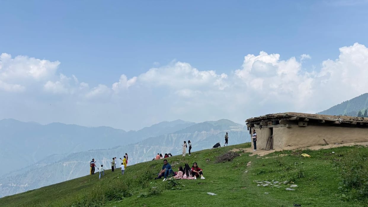 Foxglove blooms turn Bhaderwah valley into new eco-tourism attraction in Bhaderwah
