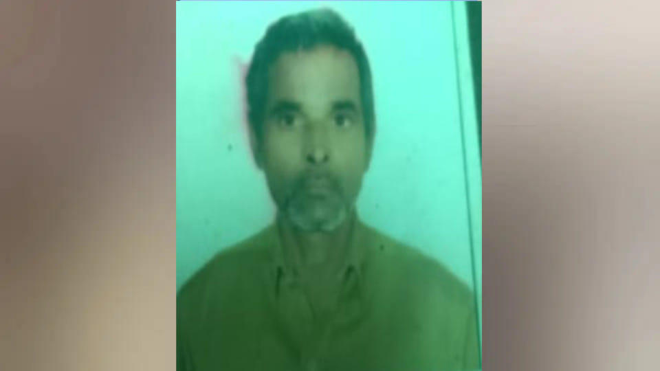 Truck driver dies after being attacked by an angry bull in Basti, his companions left him on the spot and fled