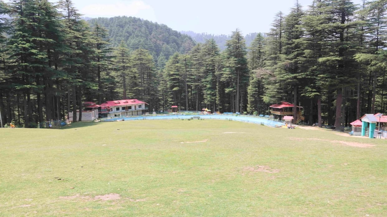 Devidhar's open ground amidst the dense deodar forest has become a center of attraction for tourists, watch th