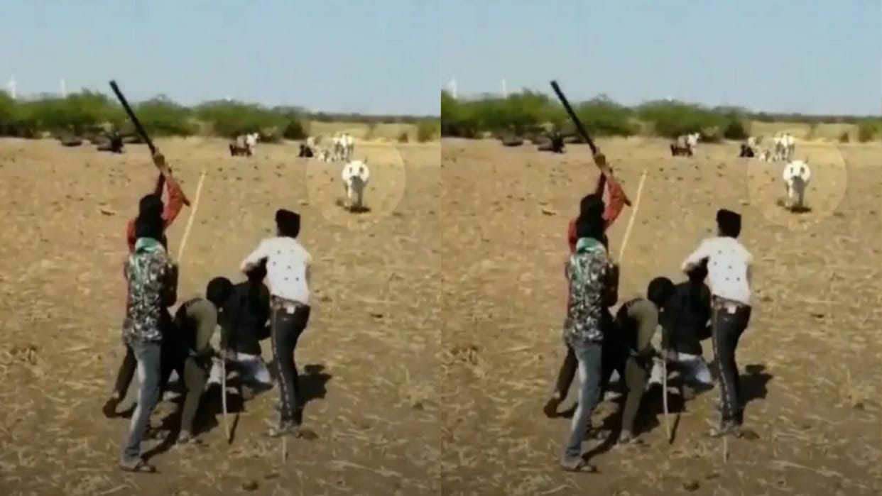 Seeing the owner being beaten the cow moved towards the crowd waving its horns Video goes Viral on Internet