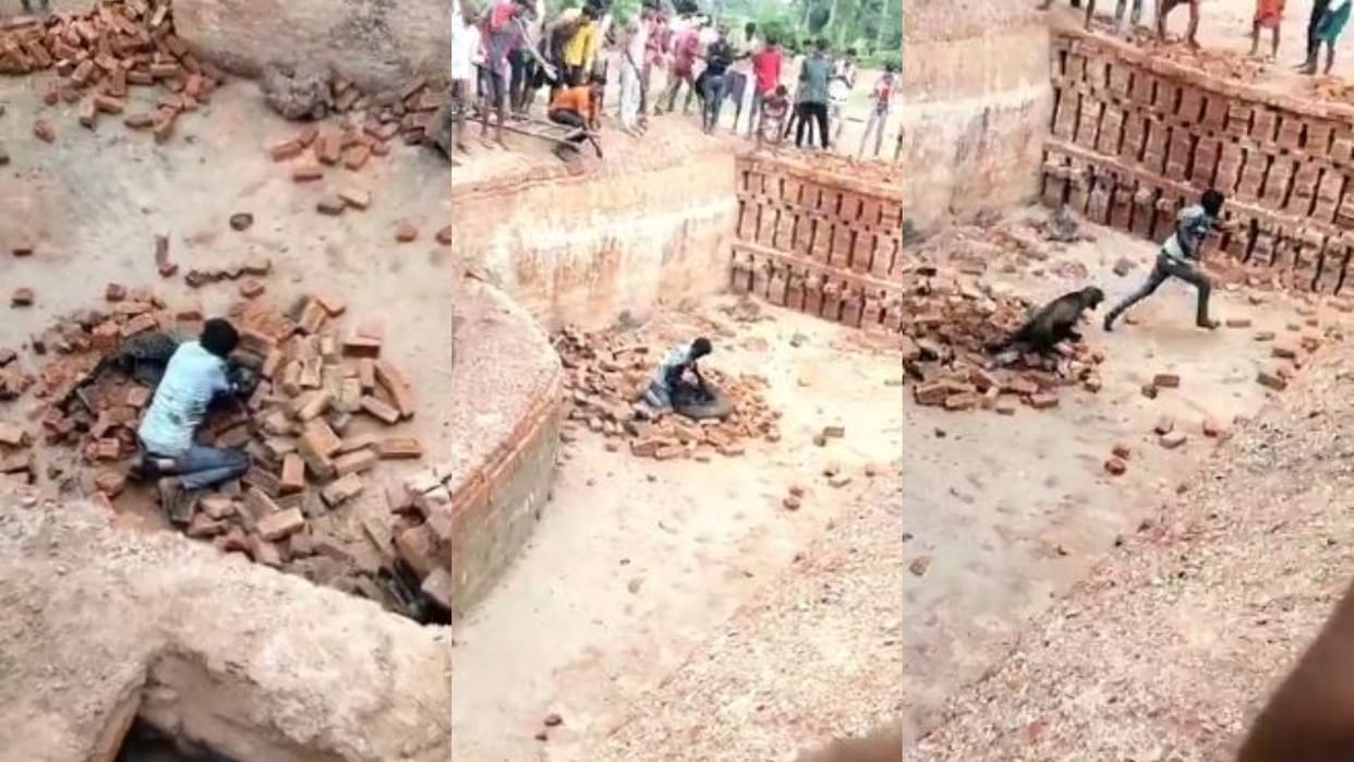 man clashed with leopard in Lakhimpur Kheri video goes viral