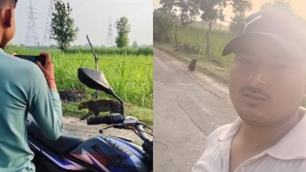 youth took selfie with leopard on the road near a village in Lakhimpur Kheri