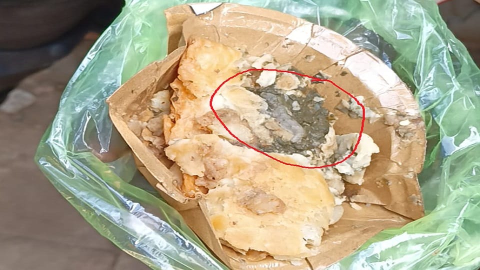 Lizard found in samosa