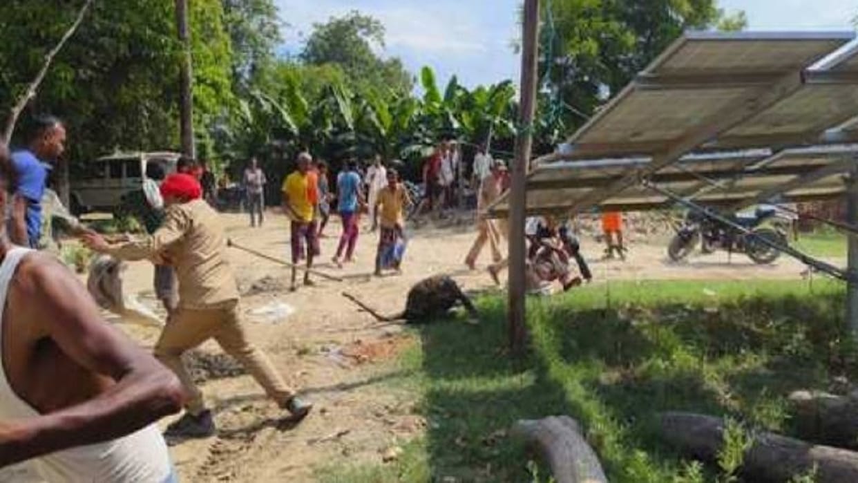 five people were injured in leopard attack in lakhimpur kheri