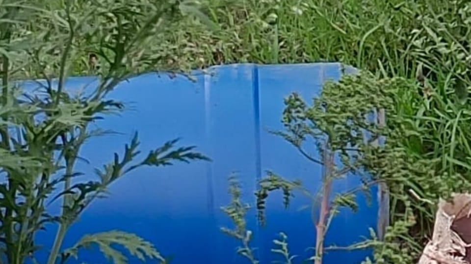 Dead body found in a blue drum in Ludhiana