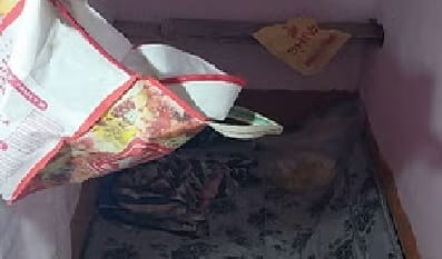 Kanpur Kushagra Murder Case mother said Just as my child was killed throats of all three should be strangled