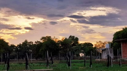 UP Weather Temperature dropped by one degree no relief from humidity weather kept changing in Mirzapur