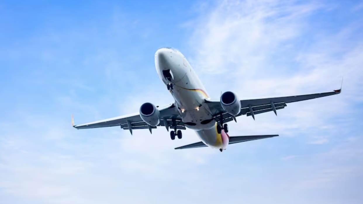 Indian national allegedly stabs 2 teens mid-flight Chicago to Germany flight charged with assault