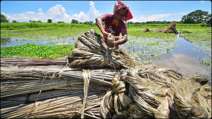 किसान (सांकेतिक फोटो)
