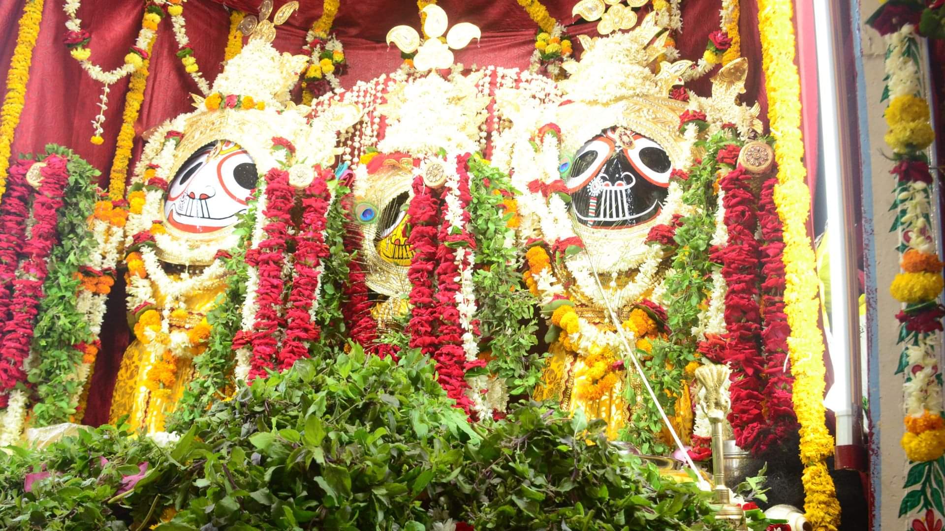 Rathyatra 2025 Lord Jagannath who left for Manfer was welcomed by Lord Indra devotees hailed him