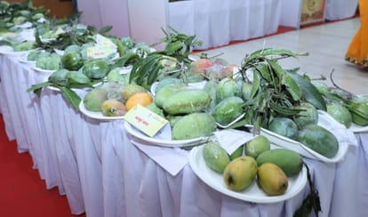 Bihar News: Mango festival launched in Patna: Bihar News, CM Nitish Kumar, many varieties of mangoes