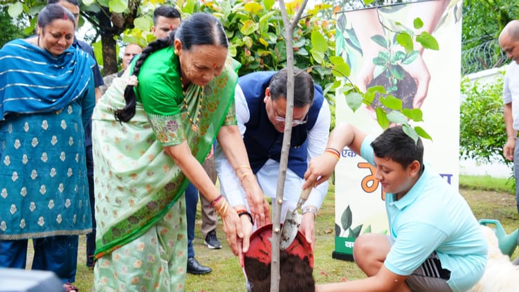 Uttarakhand: एक पेड़ मां के नाम अभियान, सीएम धामी ने किया पौधरोपण, प्रकृति के प्रति जिम्मेदार बनने का आह्वान