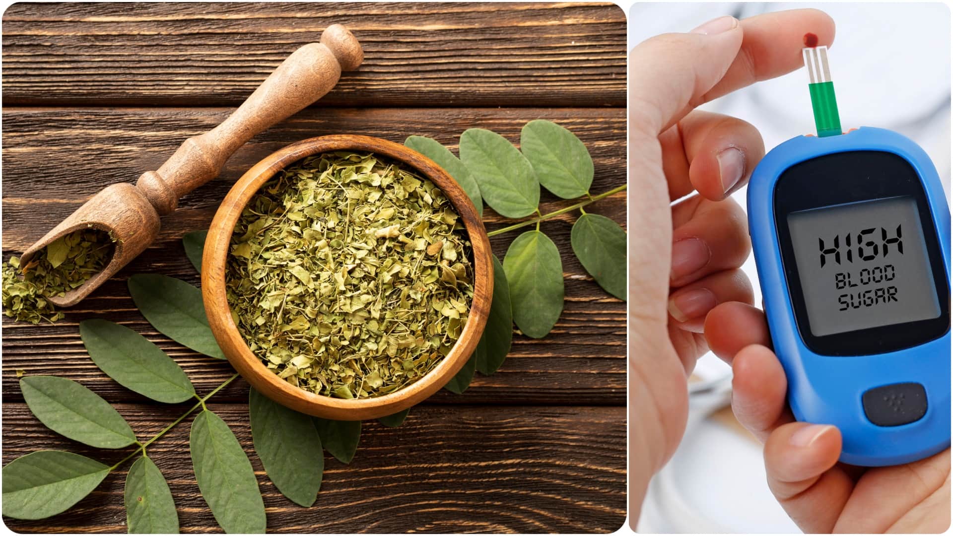 gymnema sylvestre gudmar diabetes killer diabetes me gudmar ke fayde in hindi