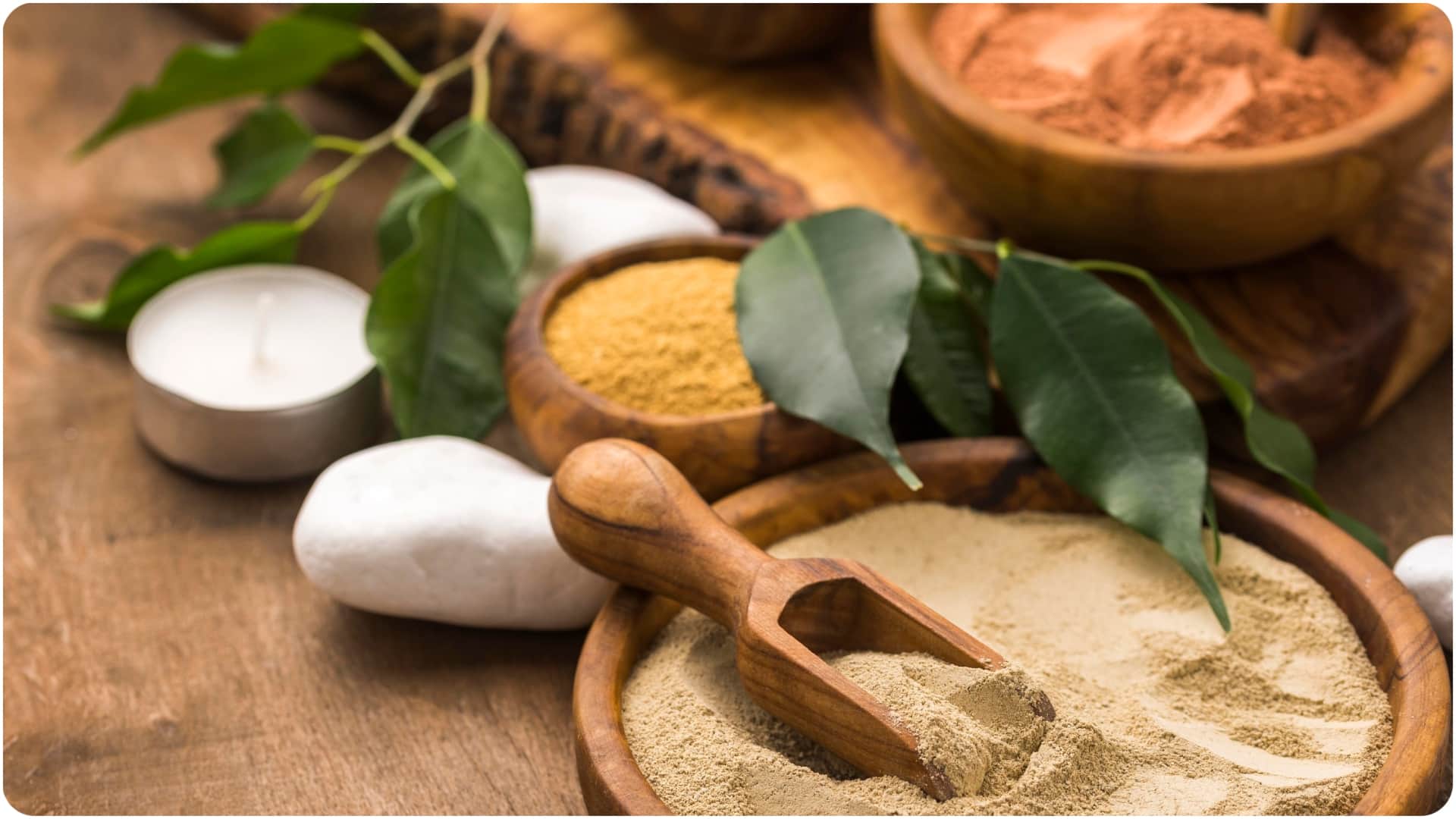 gymnema sylvestre gudmar diabetes killer diabetes me gudmar ke fayde in hindi