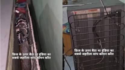 फ्रिज के अंदर निकला सांप