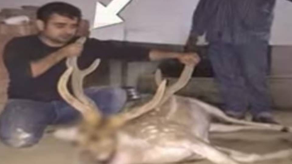 Connection of Lucknow arms smuggling gang has been found from Poland to Pakistan and China