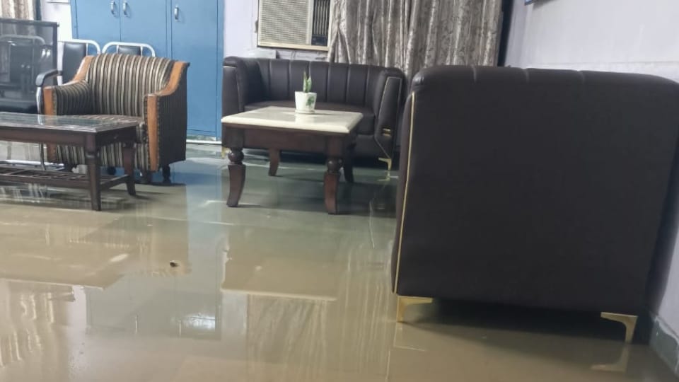 Heavy rain in chandigarh panchkula mohali