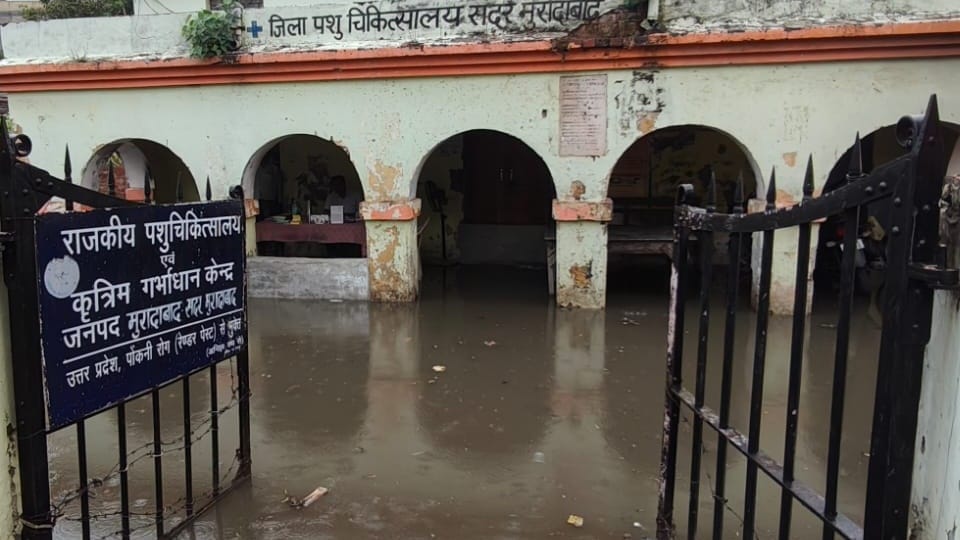 Weather pictures: Moradabad division drenched with rain showers, faces lit up, people got relief from humidity