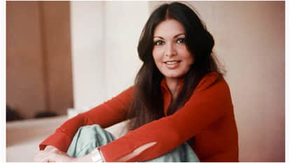 Parveen Babi Death Anniversary Bollywood Famous Actress Career And Life Known Unknow Facts