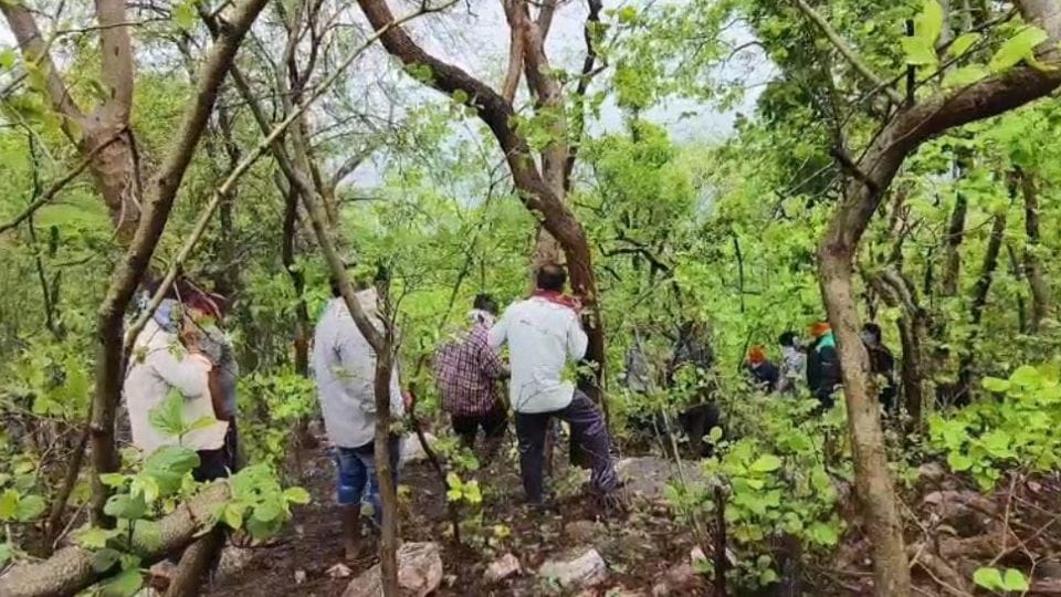 Dead bodies of young man and woman were found in Mahadev Dongri forest in Rajnandgaon