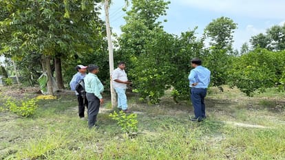 UP Farmers Turn to Apple Ber Dragon Fruit and Mosambi Cultivation for Massive Profits UP Agriculture News