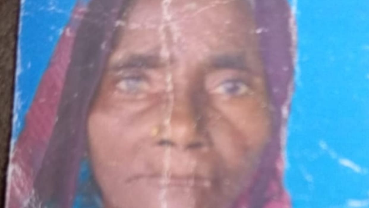 Bike hits woman returning from market with goods dies