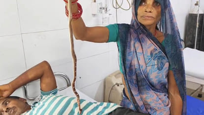 Mahoba: Wife reached hospital with dead snake in her hand, said this is what bit her husband