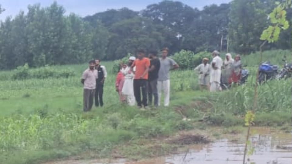 Road Accident in Muzaffarnagar Devotees car fell into a ditch Four friends from Gujarat died