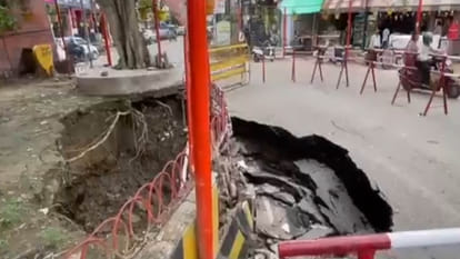 Kanpur: Three trees which were obstructing the digging were cut