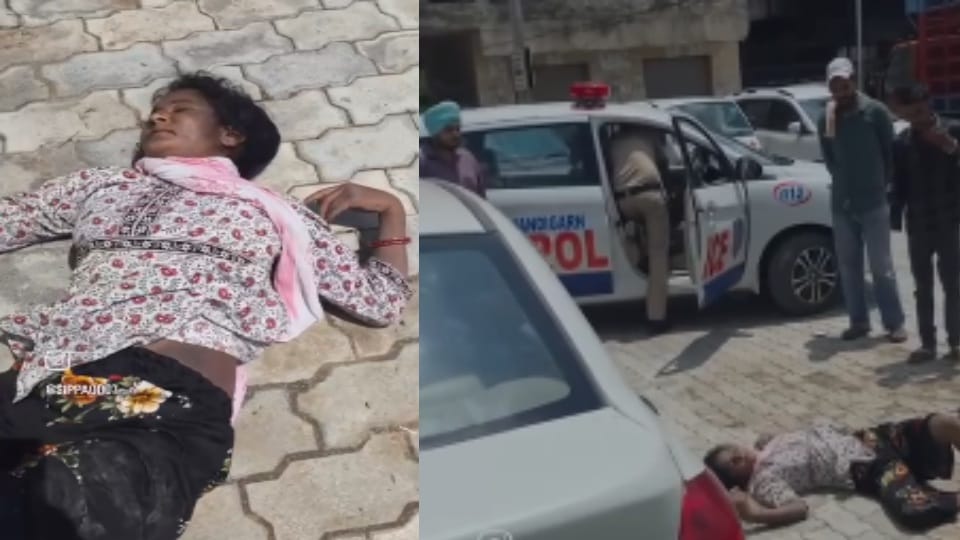 Women dead body found in Chandigarh crime news see video