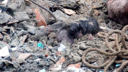 Baghpat: 'Run outside, the house is collapsing', but could not escape and six people got buried under debris