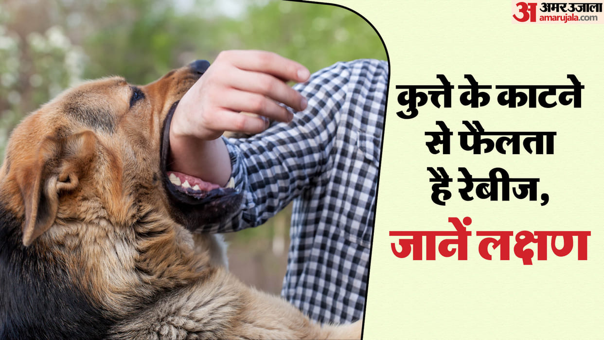 Kabaddi player Brijesh Solanki died of rabies know about dog bite and rabies vaccine