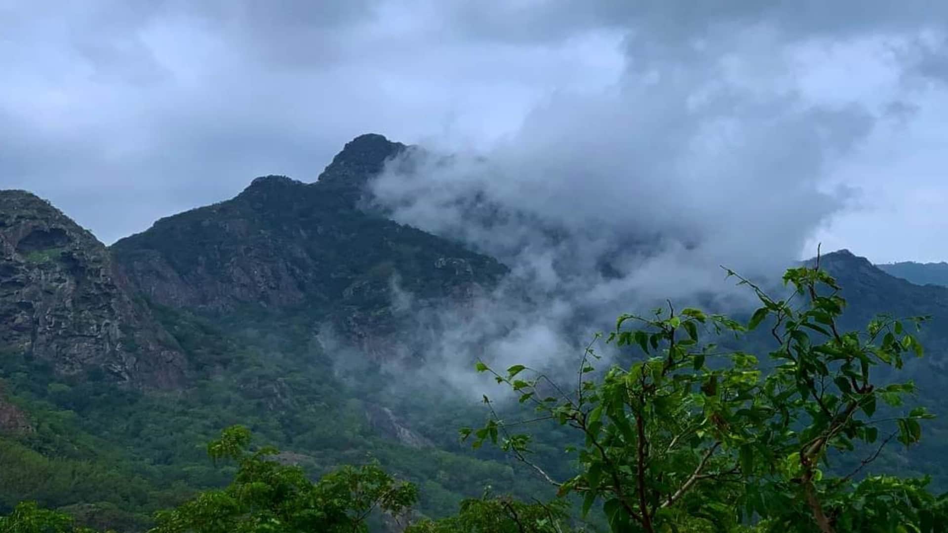 Rajasthan Monsoon Update: Mount Abu Shrouded in Clouds, 38 mm rain in last 24 hours, Tourist Footfall Increase