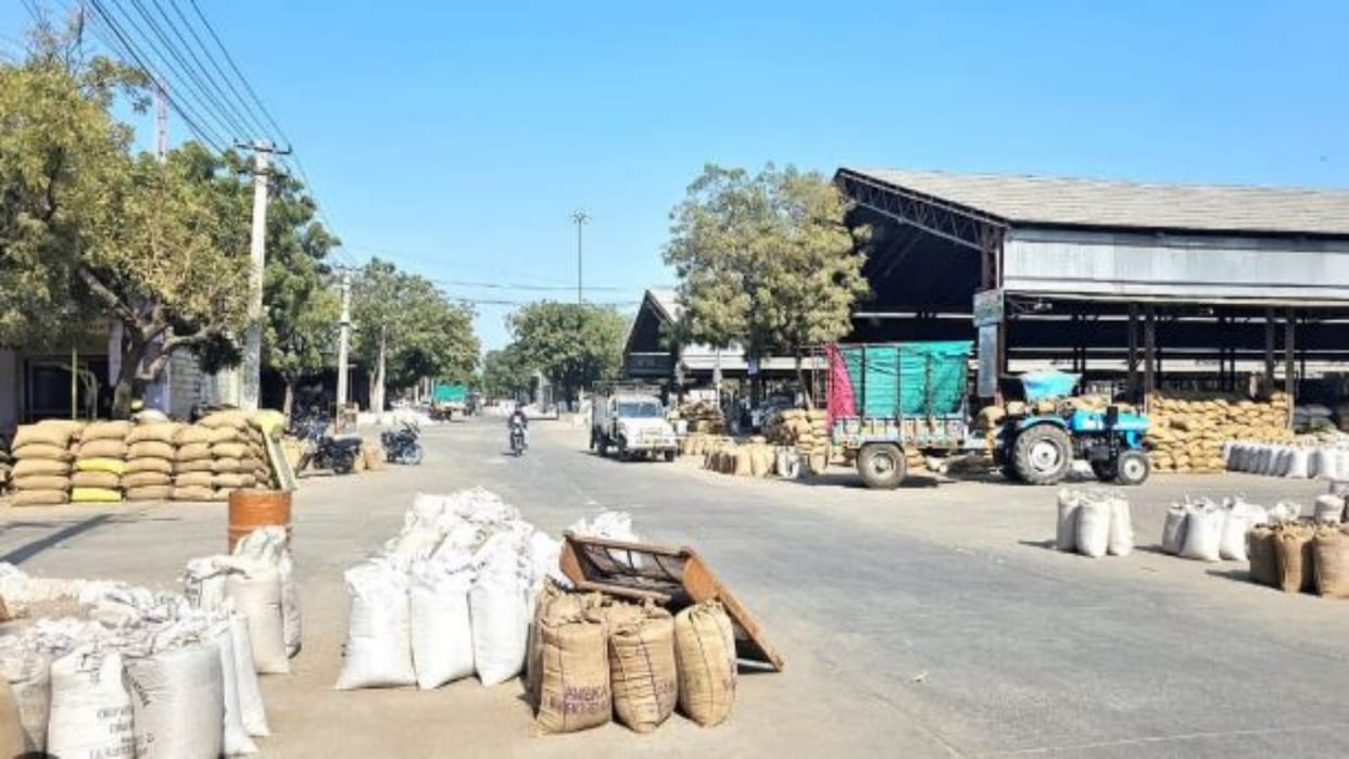 Rajasthan News: Strike in 247 Mandis Across the State from Today Against Mandi Cess, to Continue Till July 5