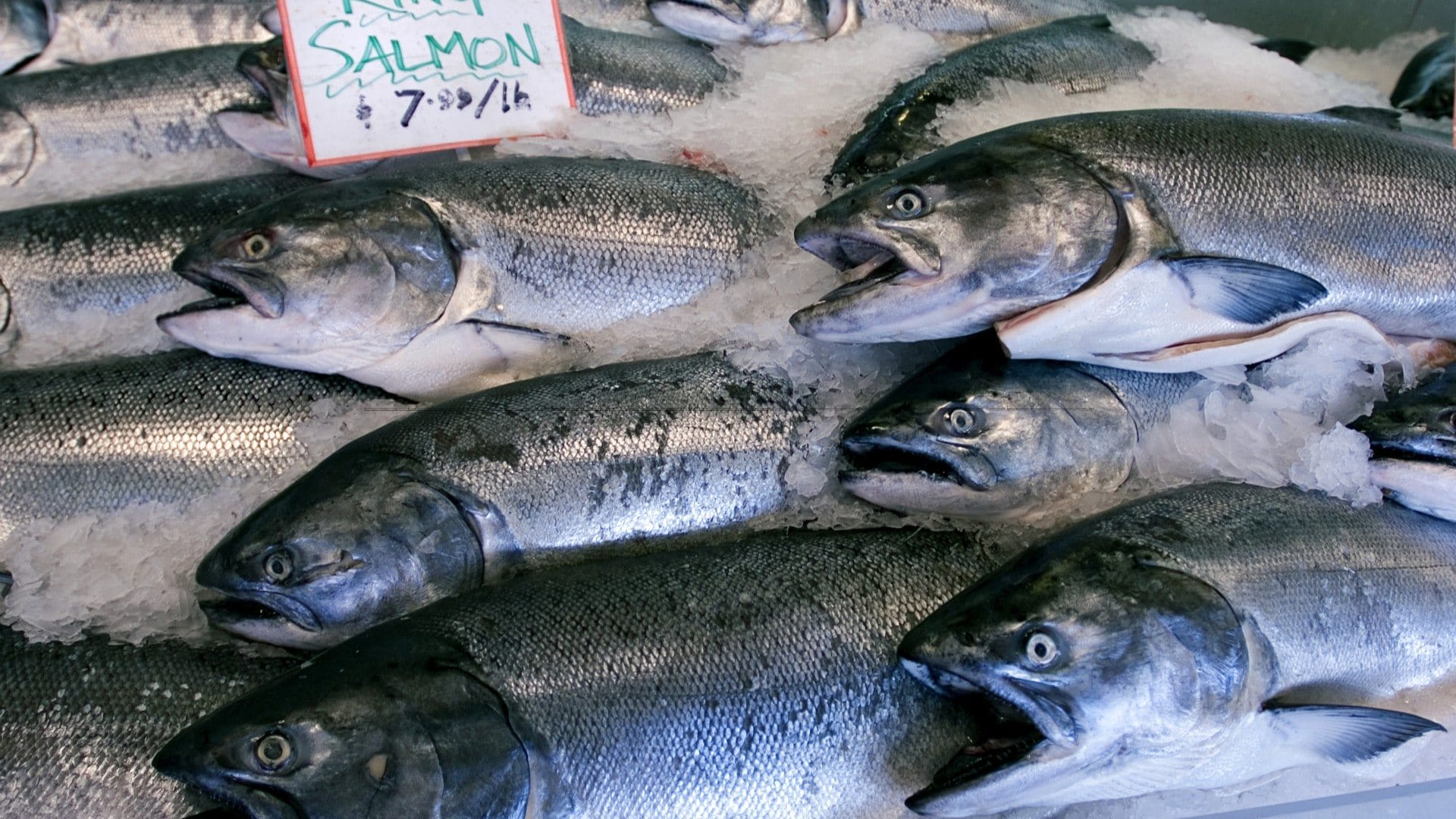 Most Expensive Fish:दुनिया की पांच सबसे महंगी मछलियां, कीमत जानकर उड़ ... - Adrri Expensive In Saltwater Fish