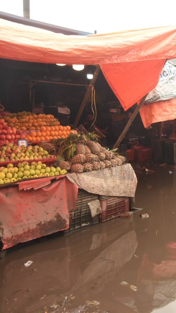 भोपाल बारिश