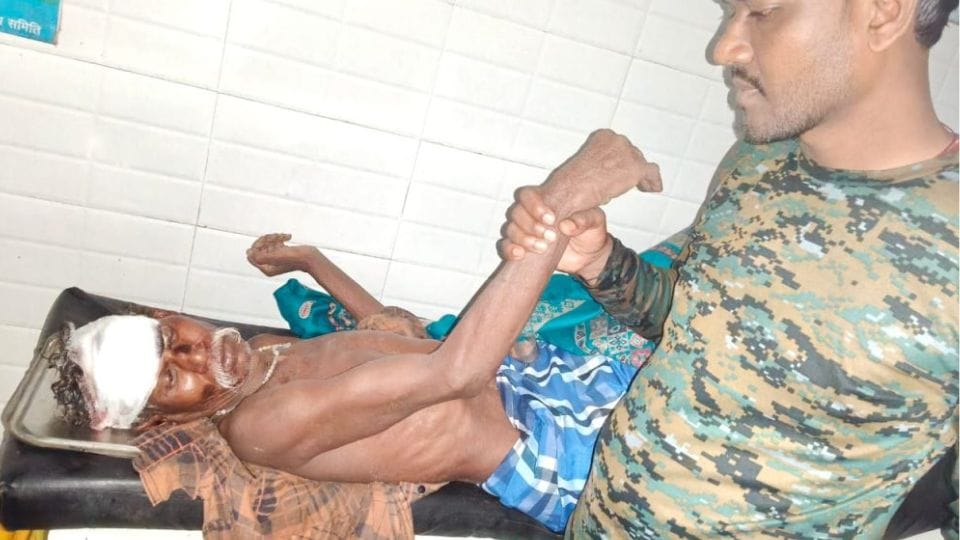 Villager injured in wild elephant attack in raigarh