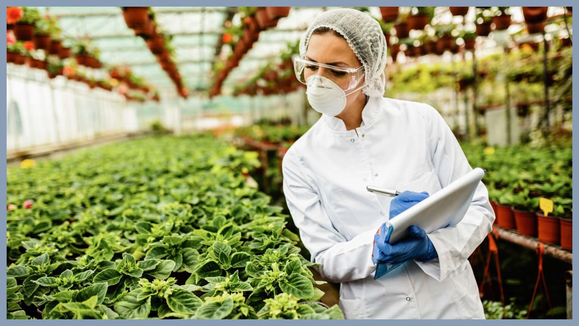 HKRN Opens Recruitment for Warehouse and Factory Workers in Russia, Germany, Norway and Slovakia