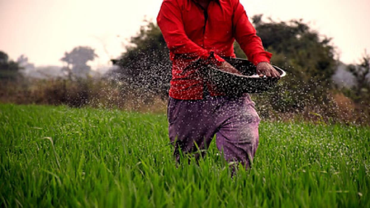 Good news for farmers, government made arrangements for NPK and SSP instead of DAP in Chhattisgarh