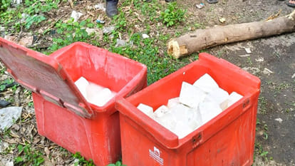 Kanpur: Food department destroyed 380 kg of cheese
