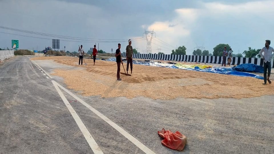 Officials removed corn from Mathura-Bareilly highway