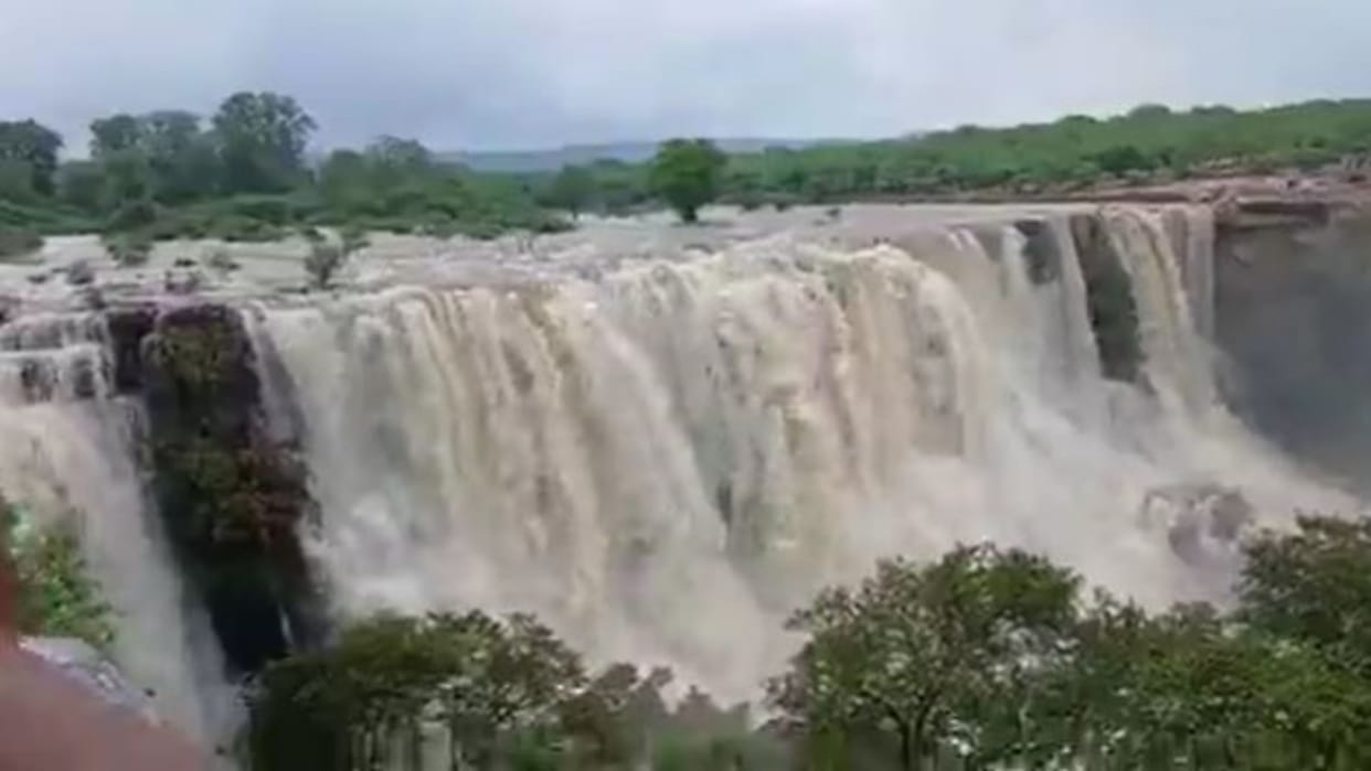Rajasthan Monsoon: Heavy rains cause floods in many districts, Over 12.5 Inches of Rain in Chittorgarh