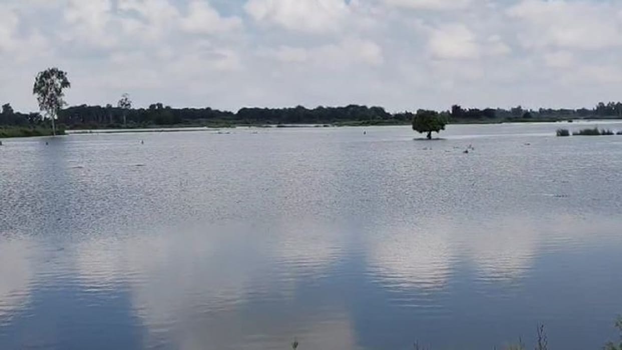 Crops got submerged due to rising water in Gomti river due to rain in shahjahanpur