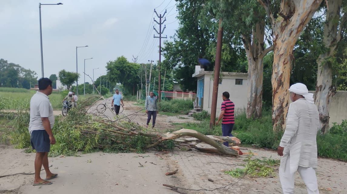 सड़क पर गिरा पेड़ी, बिजली लाइन में दौड़ता रहा करंट