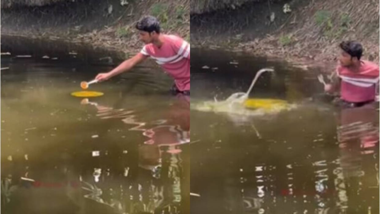 The boy was applying turmeric in the pond then a snake came out of the water with its hood raised Video Viral